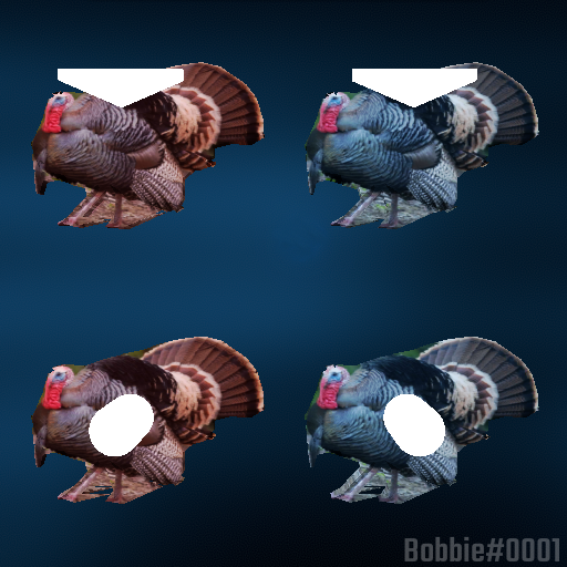 Turkey Notes Dominators Notes